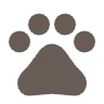 pets_24dp_695D55_FILL0_wght400_GRAD0_opsz24